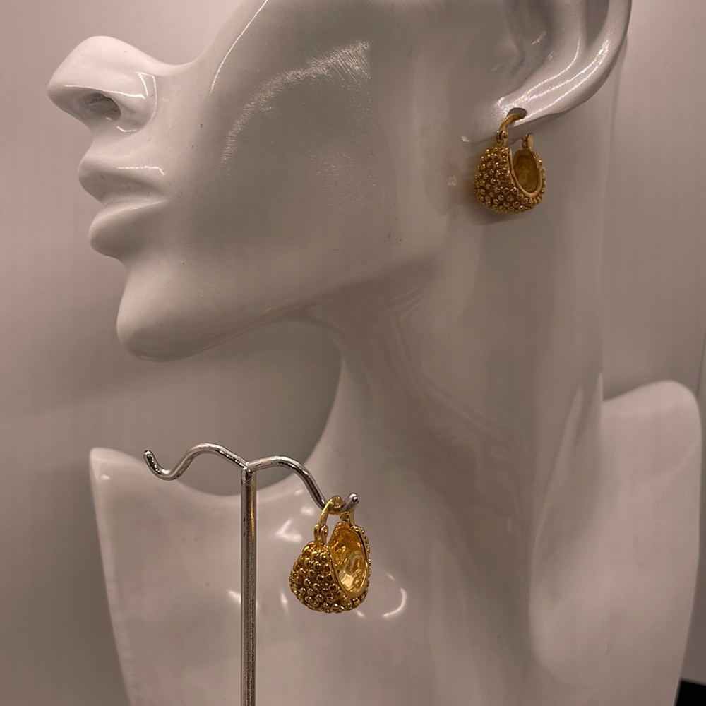 Elegant Gold Hoop Earrings